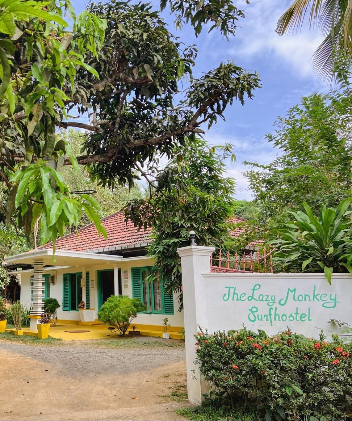 Lazy Monkey Surfhostel - Sri Lanka Dickwella Exterior foto