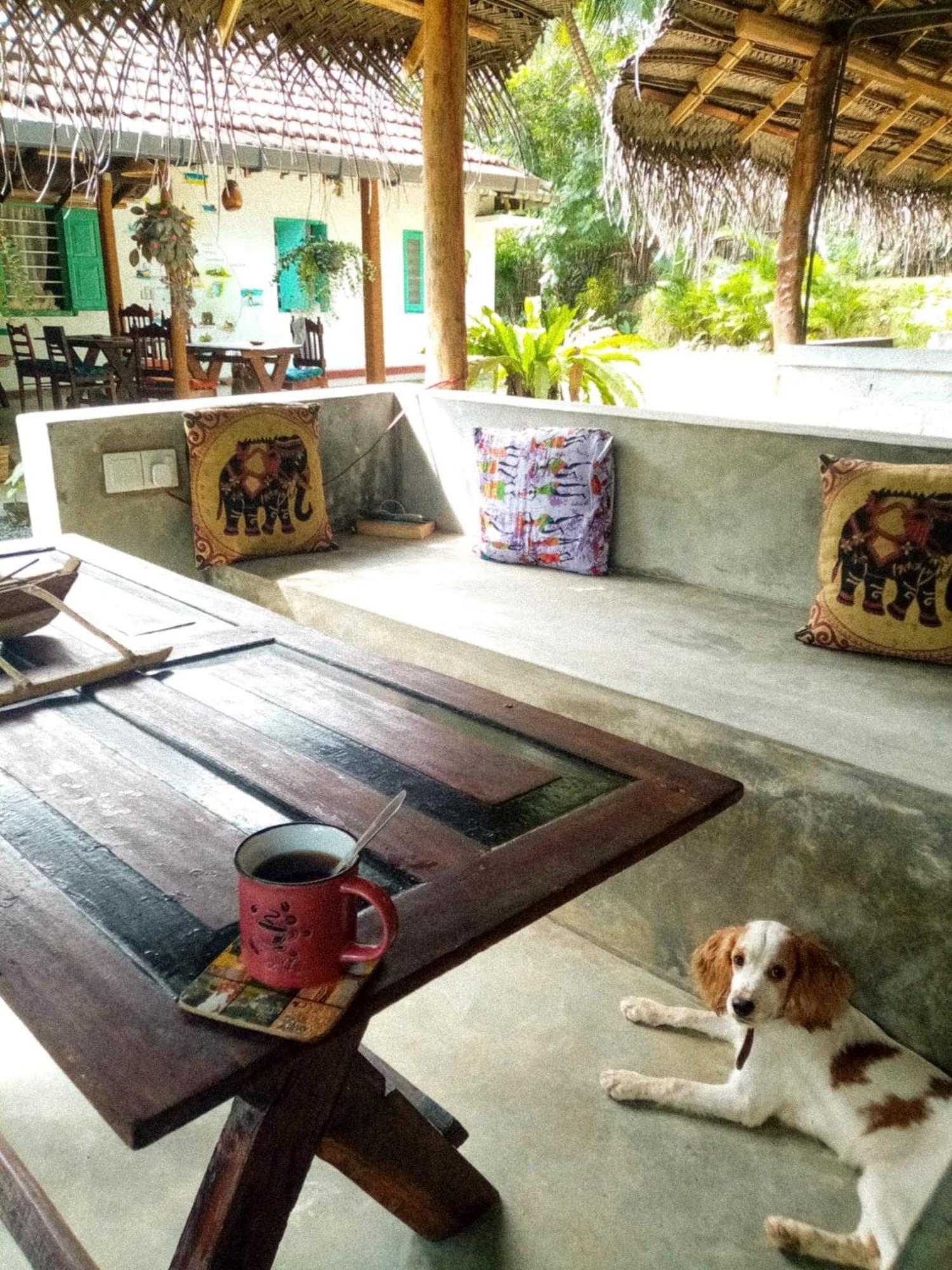 Lazy Monkey Surfhostel - Sri Lanka Dickwella Exterior foto