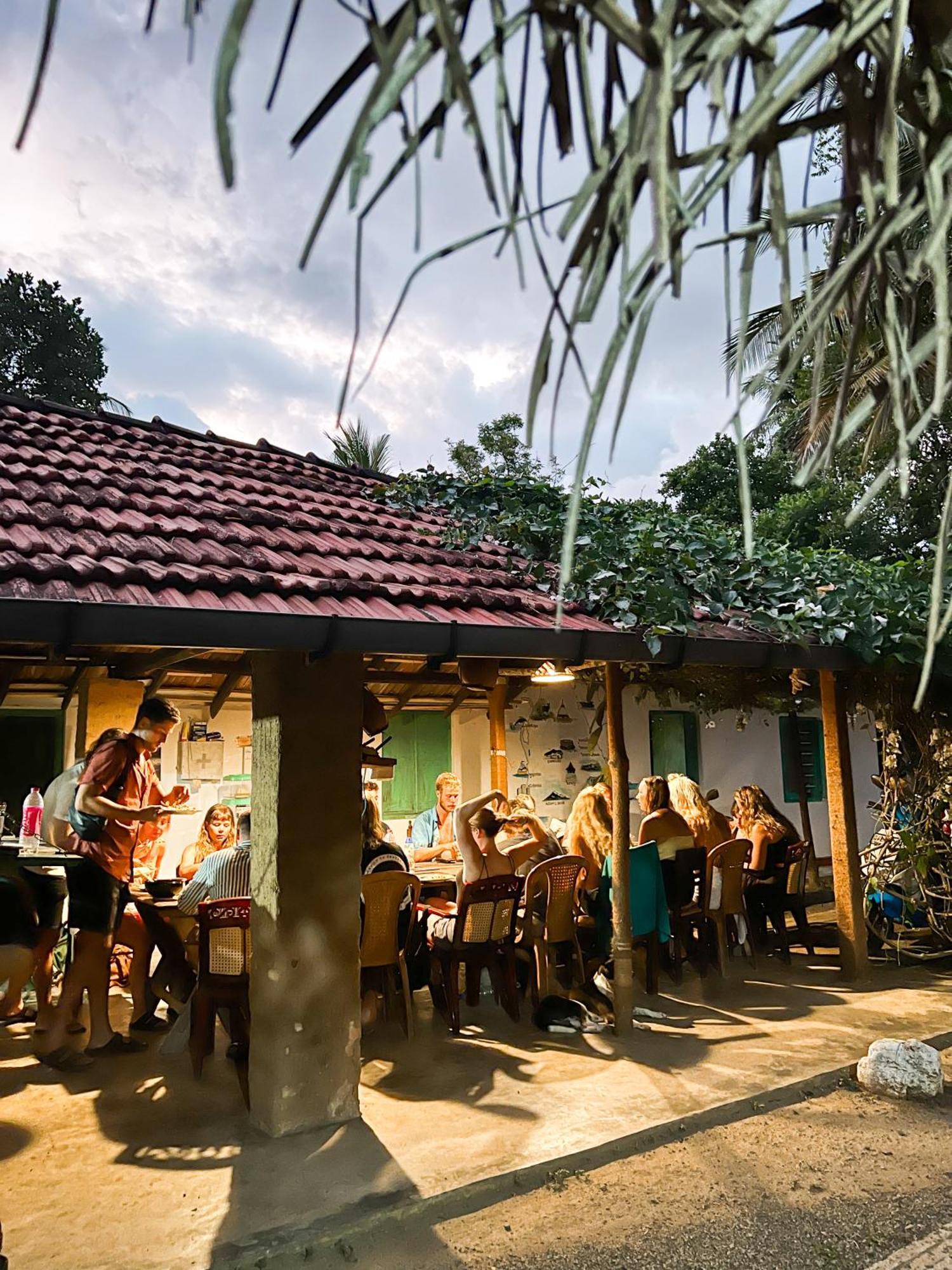 Lazy Monkey Surfhostel - Sri Lanka Dickwella Exterior foto