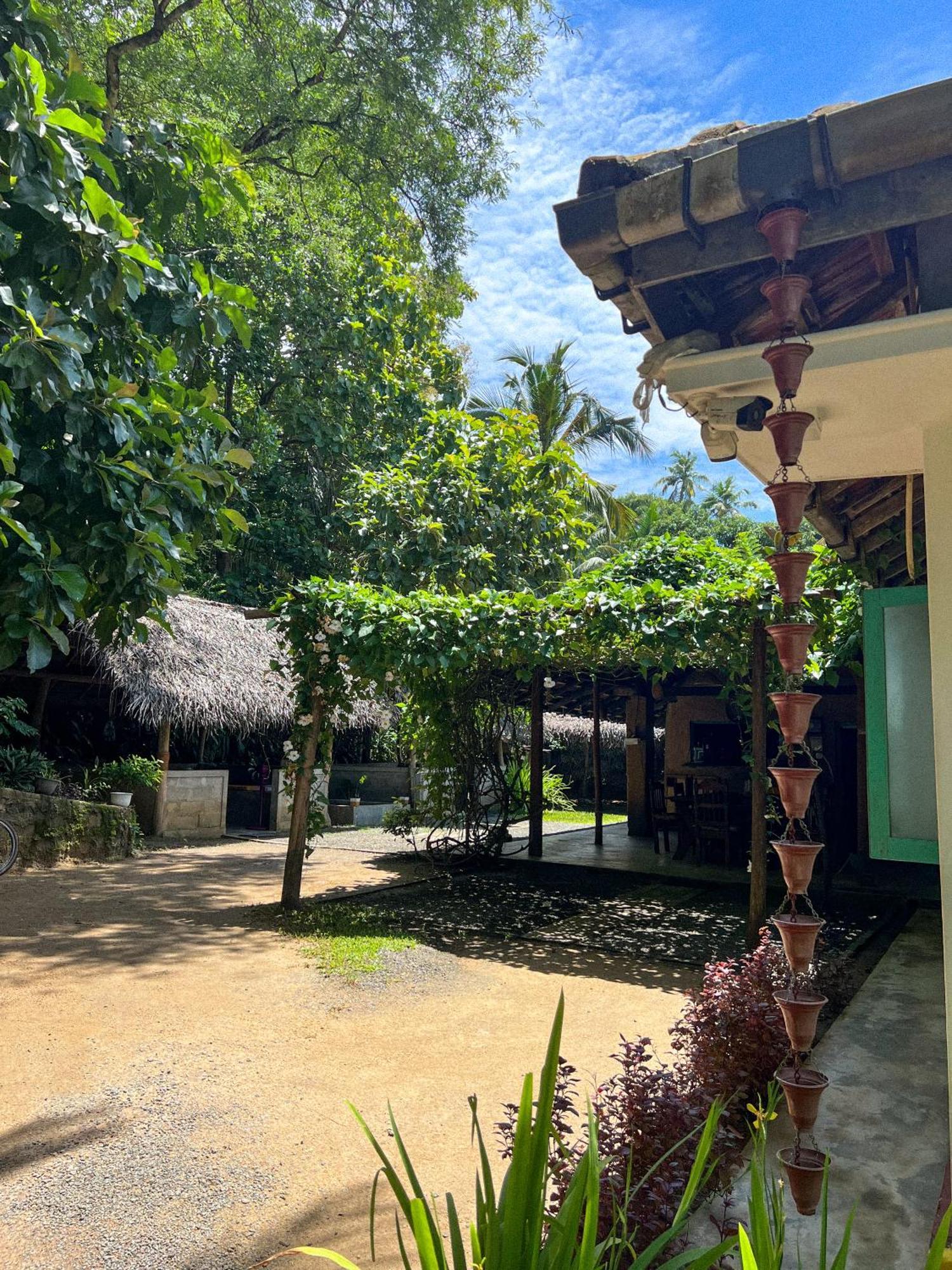 Lazy Monkey Surfhostel - Sri Lanka Dickwella Exterior foto