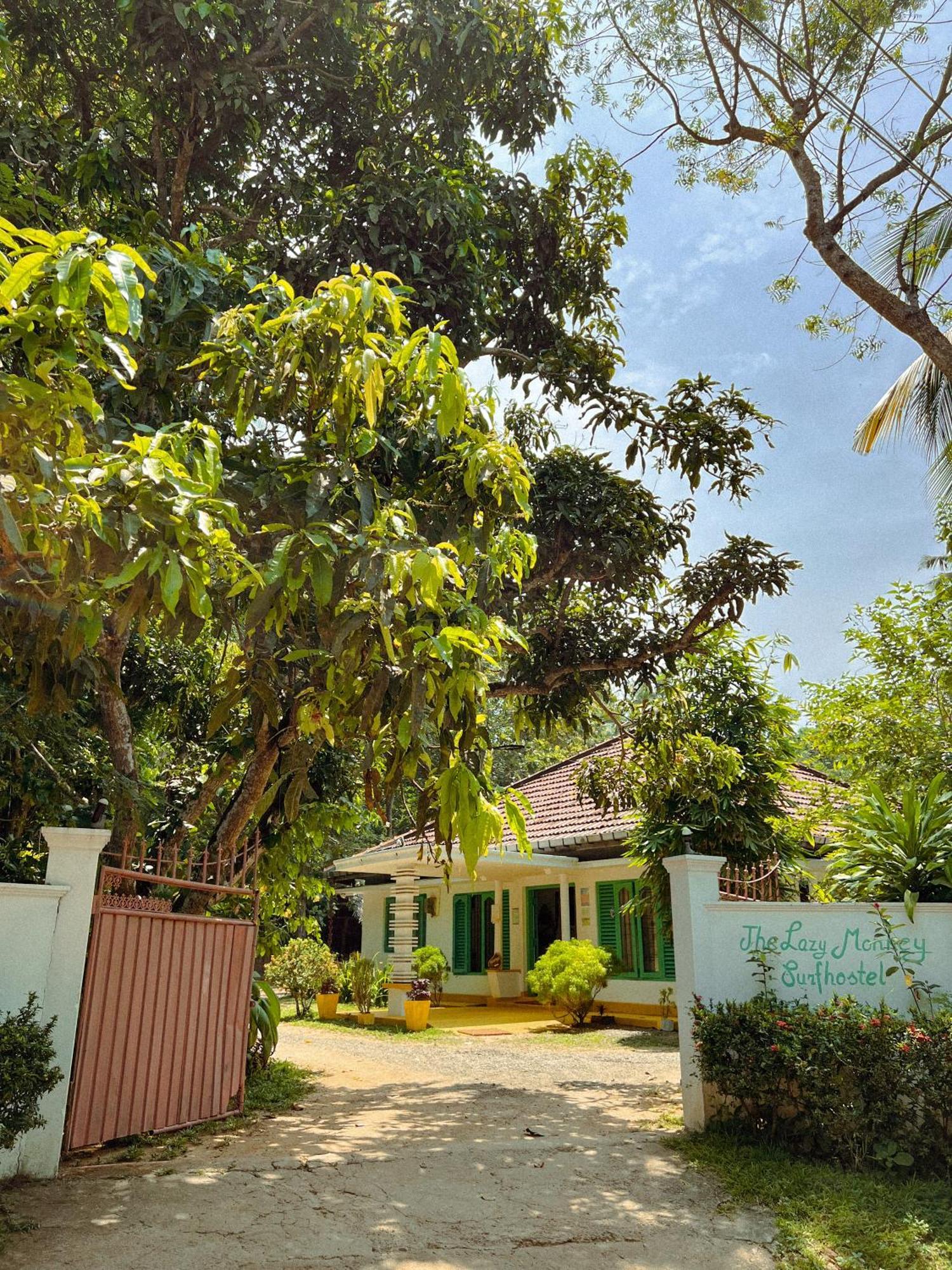 Lazy Monkey Surfhostel - Sri Lanka Dickwella Exterior foto