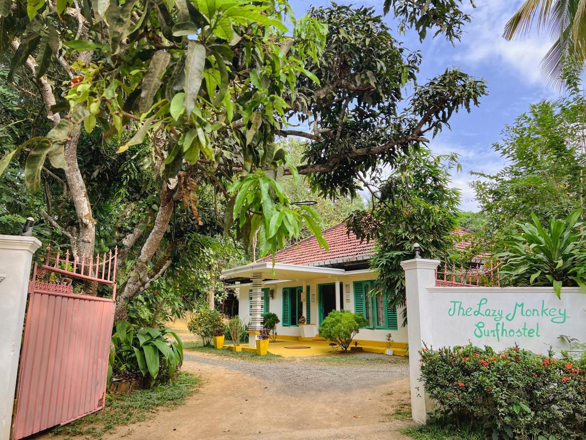 Lazy Monkey Surfhostel - Sri Lanka Dickwella Exterior foto